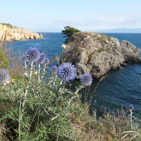 Apartamento Punta Montgo Port De Rei Л'Аскала Екстер'єр фото